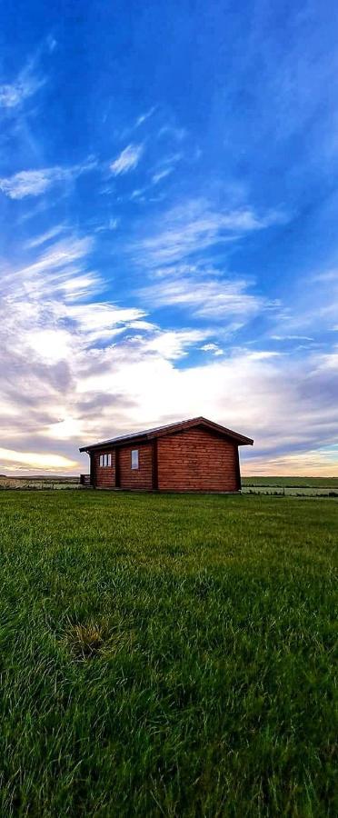 Guesthouse Didi Flagbjarnarholt Bagian luar foto