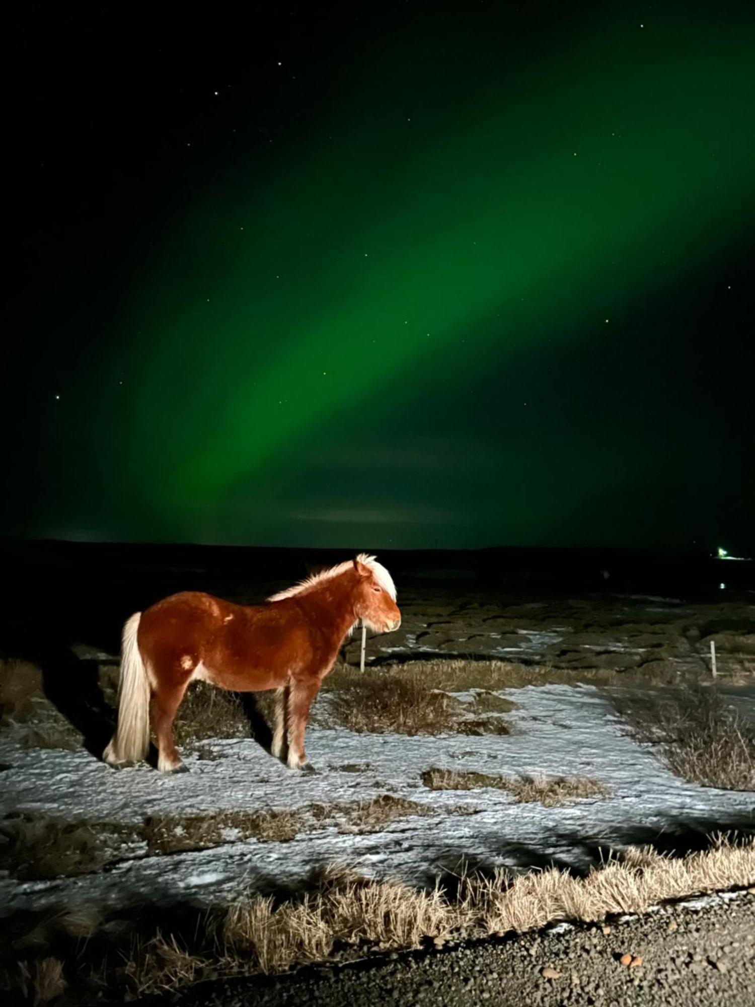 Guesthouse Didi Flagbjarnarholt Bagian luar foto